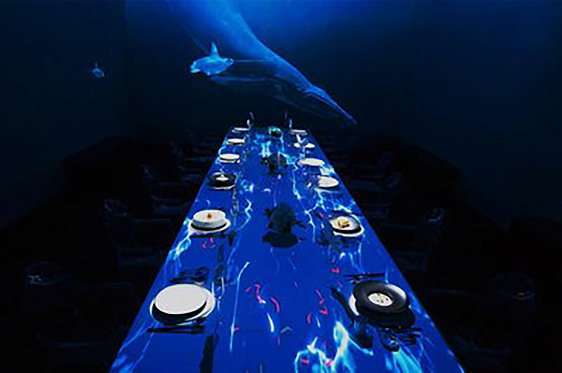 t0116031b5ef546b4e5.jpg